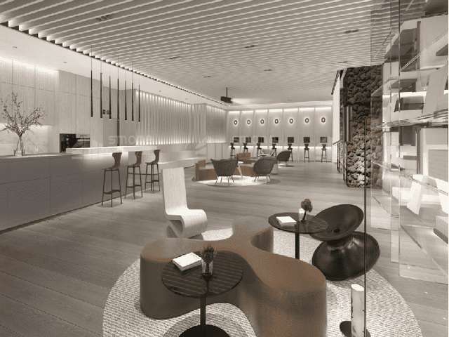 苏州尚意别墅电梯