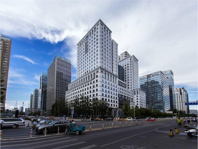 新吴区会议室绿植花卉怎么卖